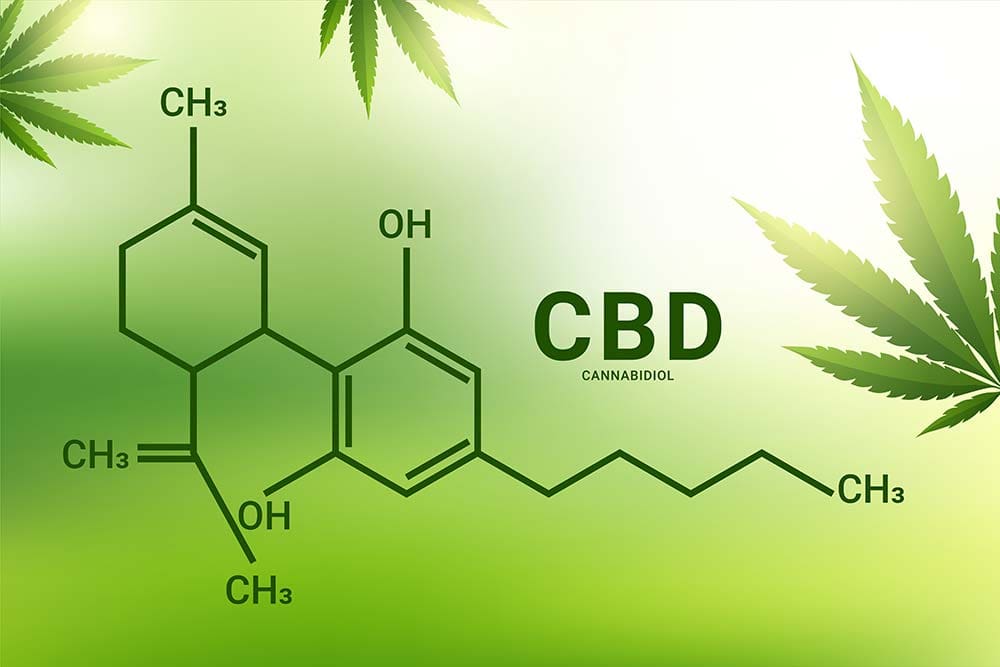 CBD y sistema endocannabinoide