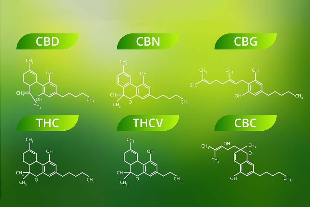 compuestos cannabinoides