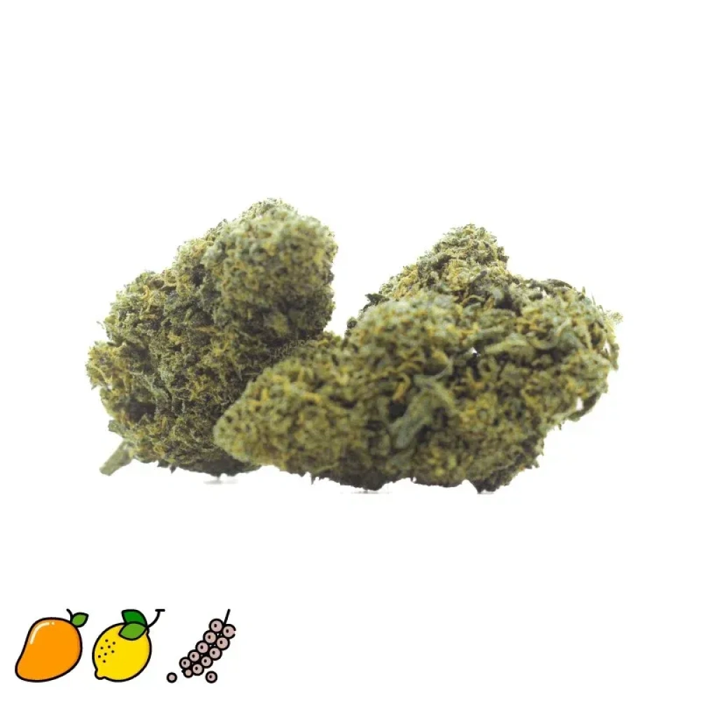 30052024163713.tropical haze cbd indoor thumbnail 2000x2000 2