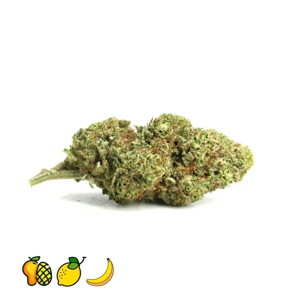 30052024163917.banana kush cbd indoor thumbnail 2000x2000 1