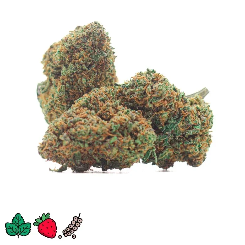 30052024164028.strawberry diesel cbd indoor thumbnail 2000x2000 2