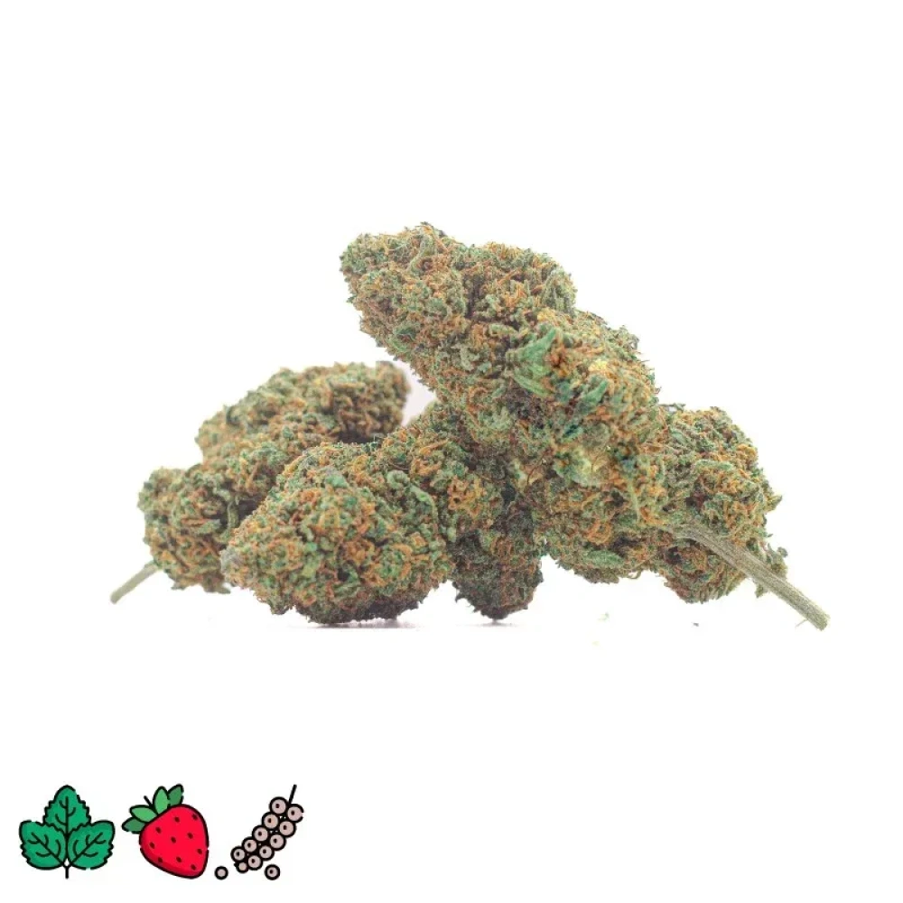 30052024164031.strawberry diesel cbd indoor 1 thumbnail 2000x2000 2