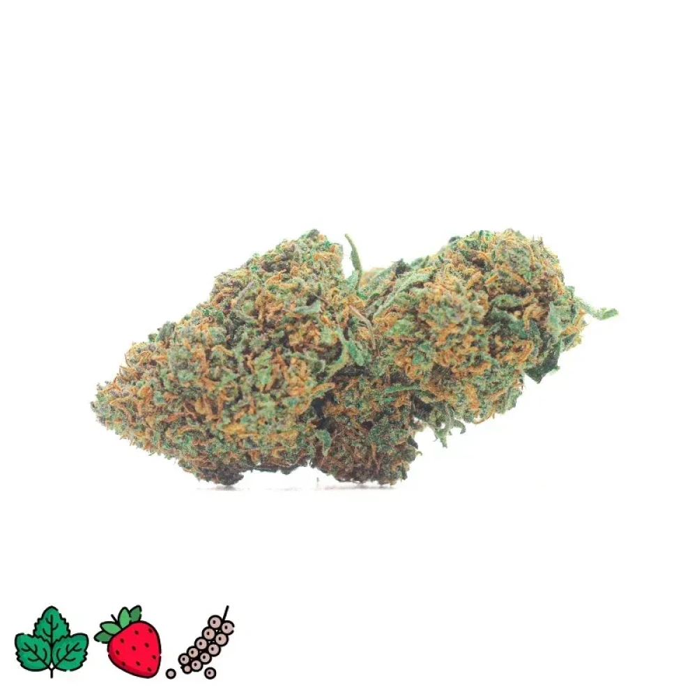 30052024164034.strawberry diesel cbd indoor 2 thumbnail 2000x2000 2