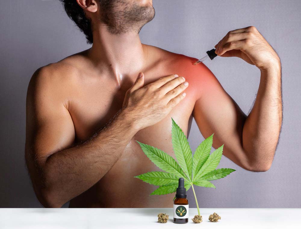 CBD y sistema inmunitario