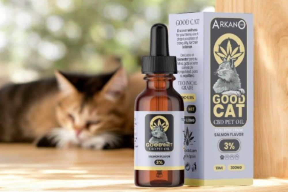 CBD para gatos