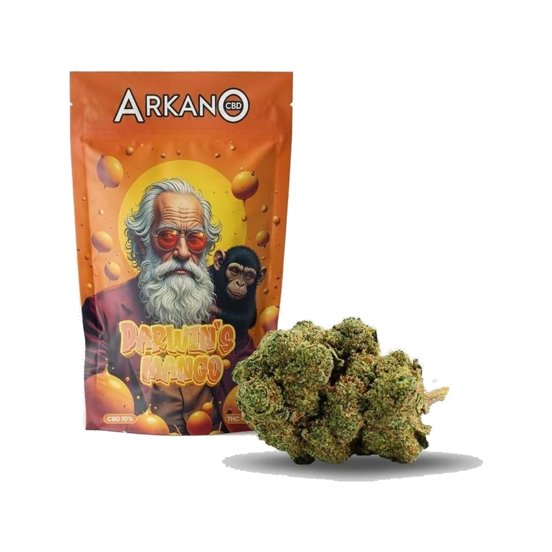 DARWIN'S MANGO CBD