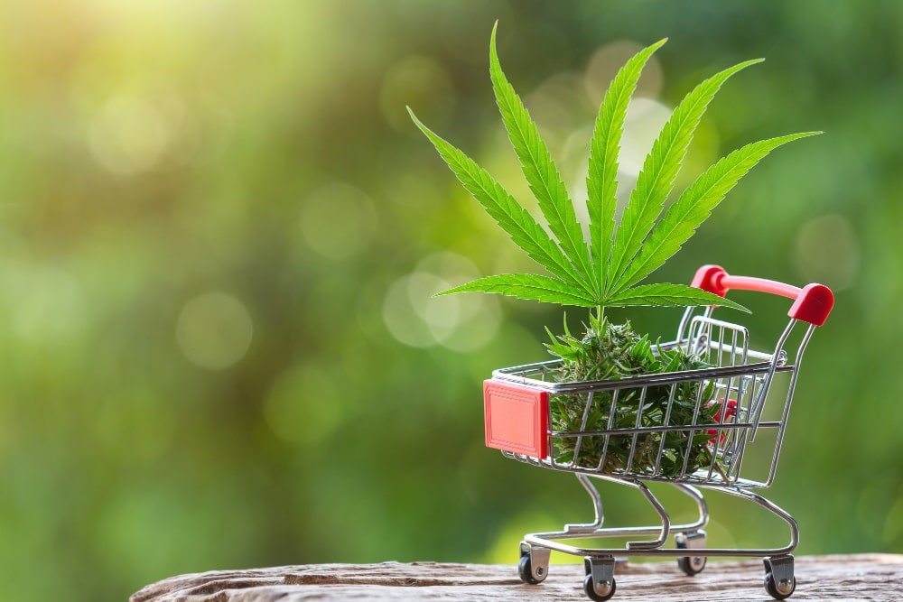 CBD negocio rentable 