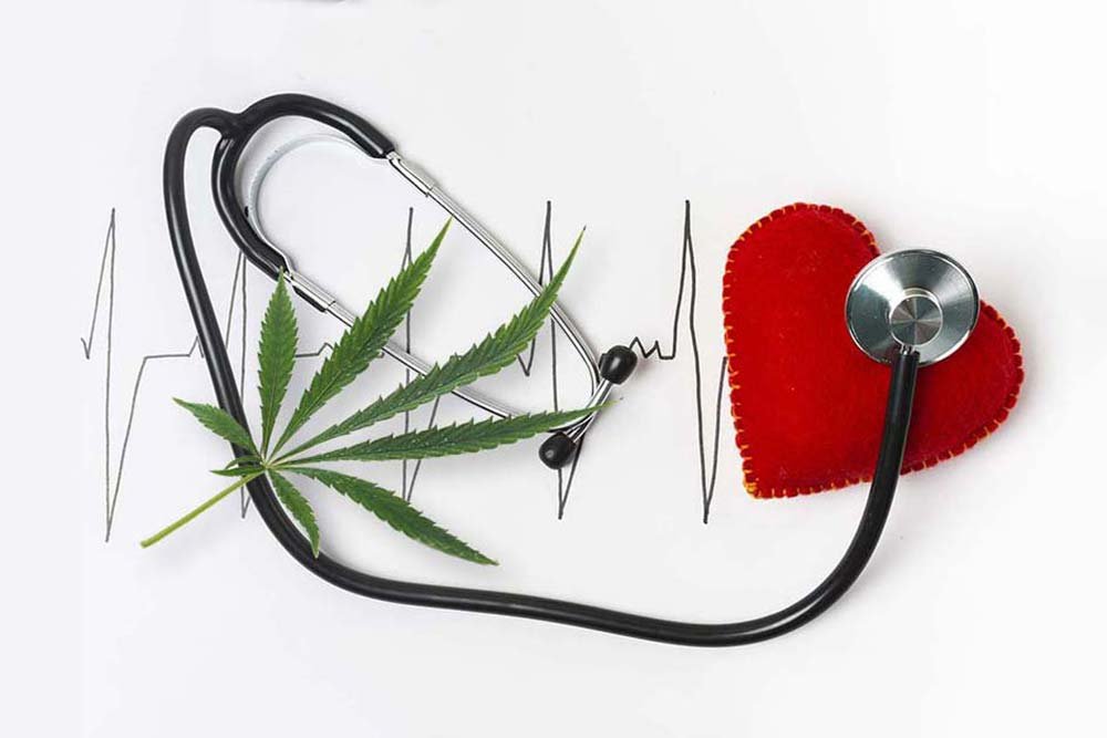 Salud cardiovascular destacada