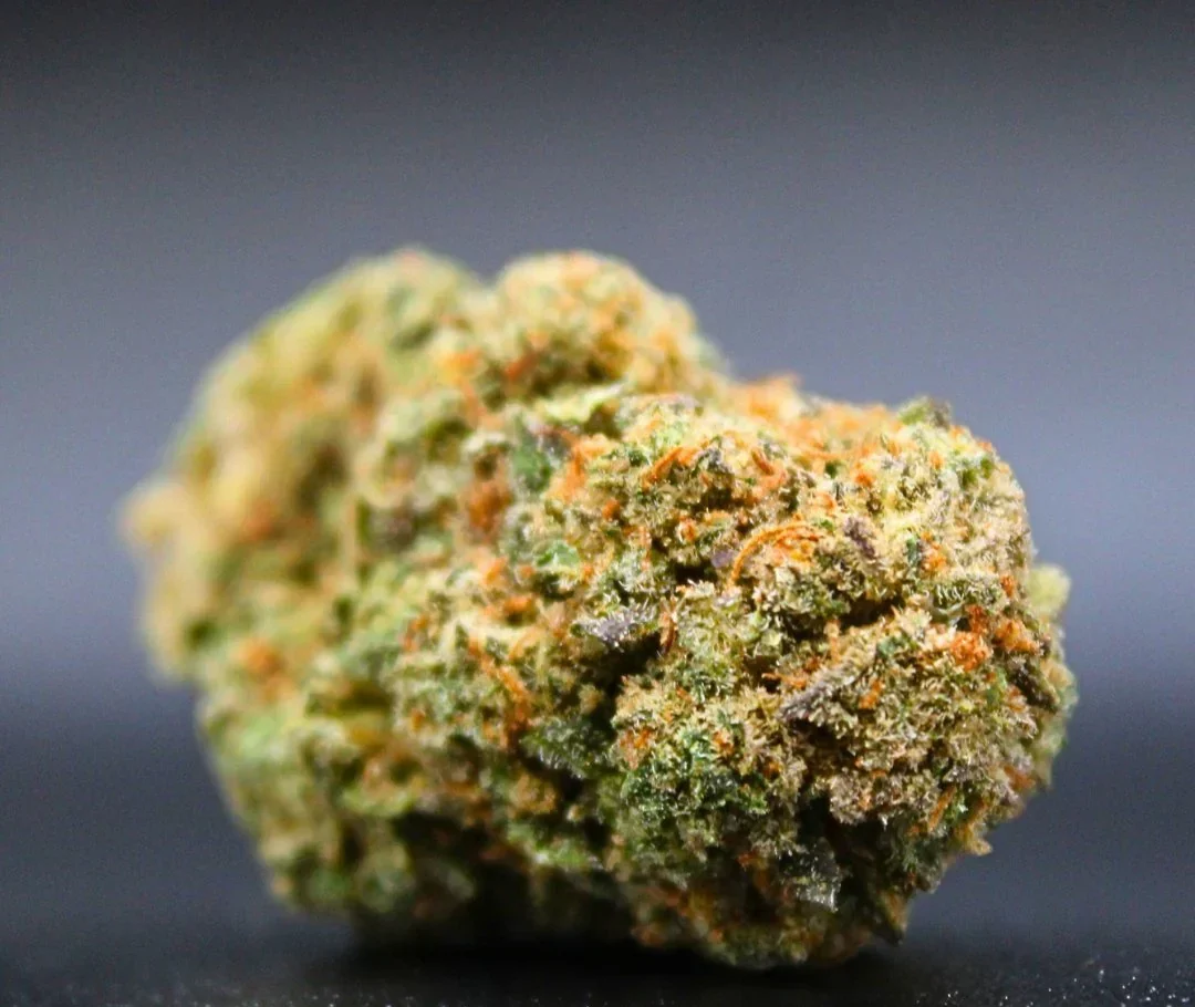 flores white haze invernadero 100gr e1740686340393