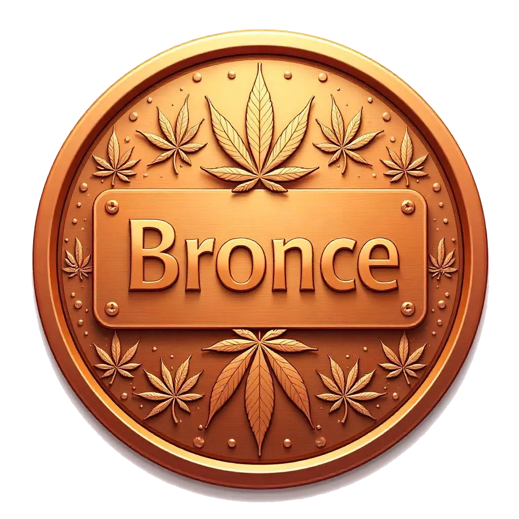 PLACA BRONCE