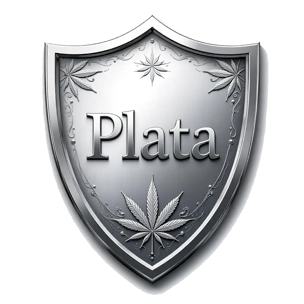 PLACA PLATA