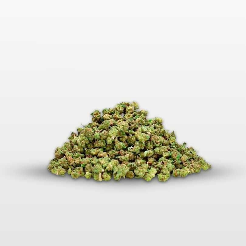 SMALL BUDS INDOOR BREAKING BUDS OG