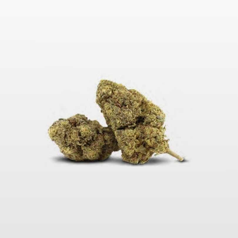 GREEN FUEL INFUSIONADA