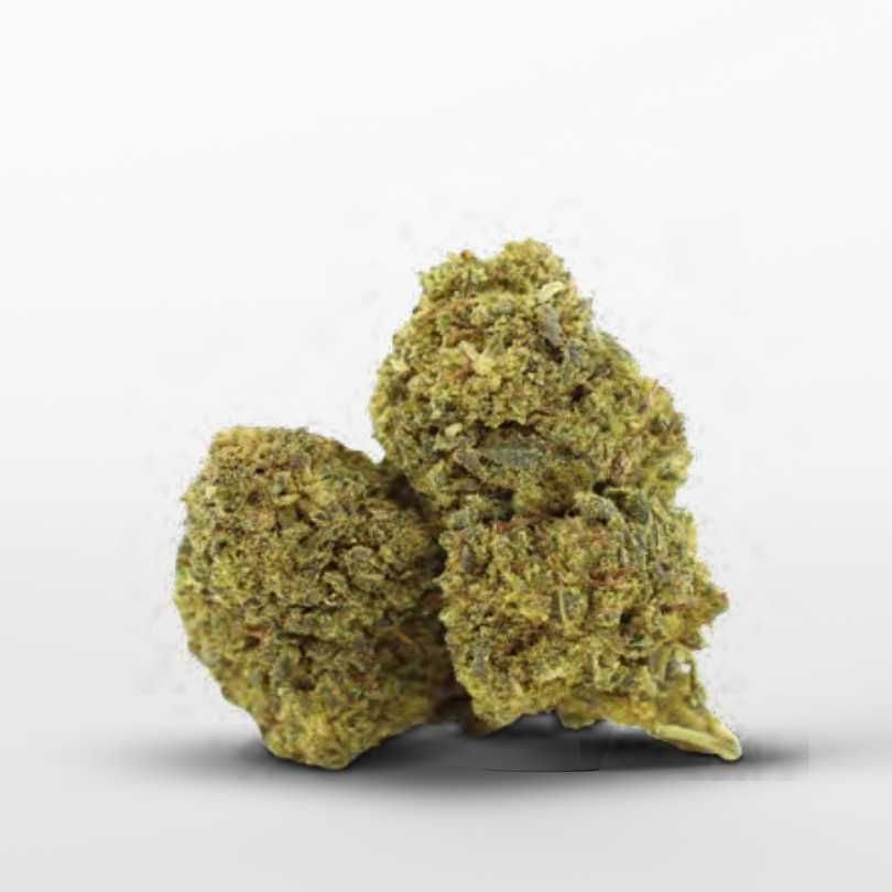 POPEYE BUDS INFUSIONADA