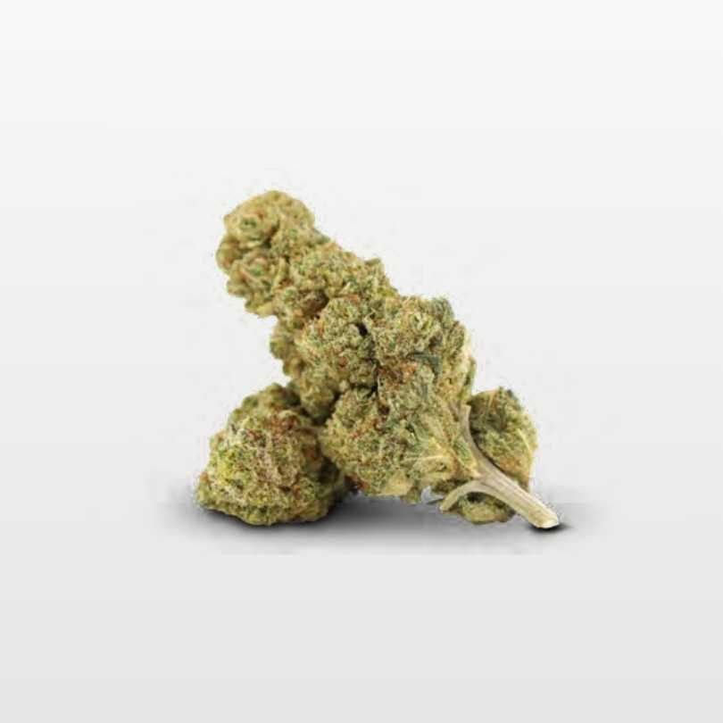 HOCKEY MASK HAZE INFUSIONADA