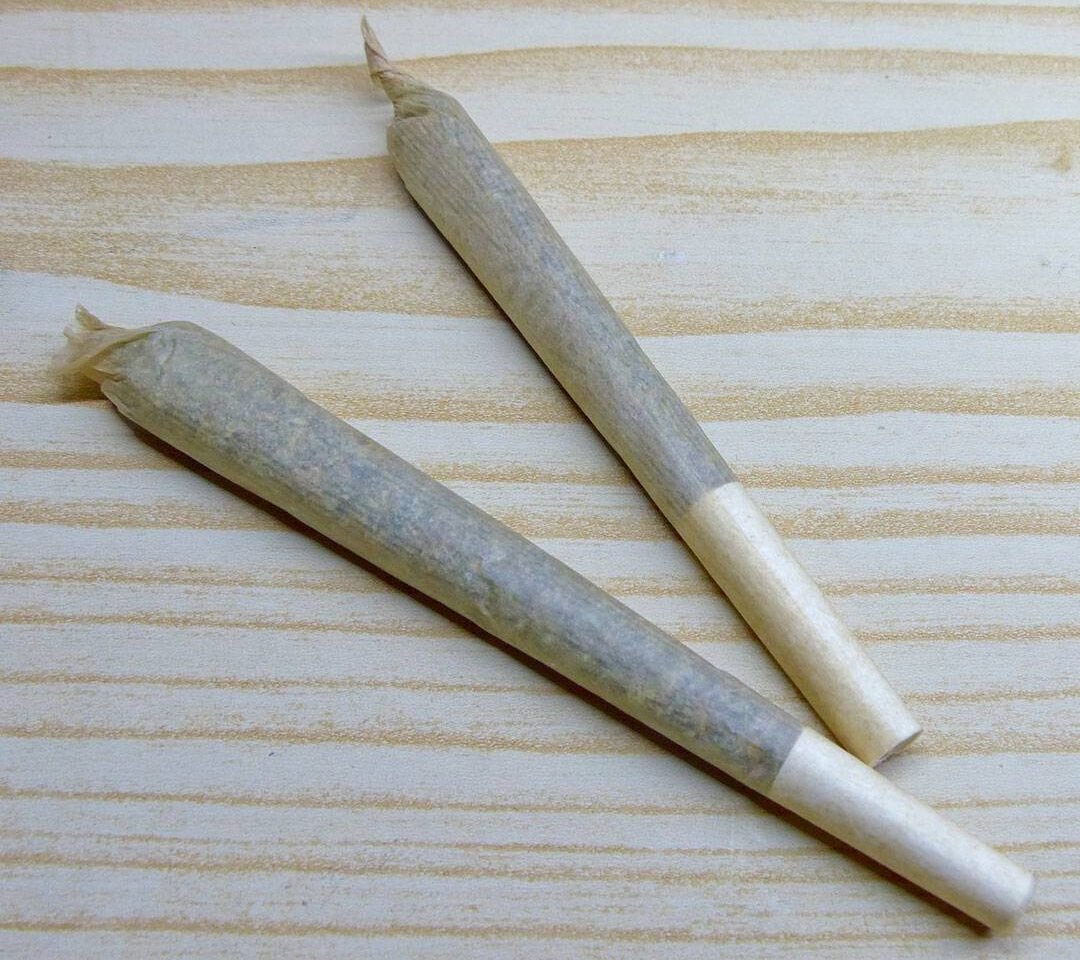 Everything you need to know about pre rolls blog october 2023 compressed e1738688308820