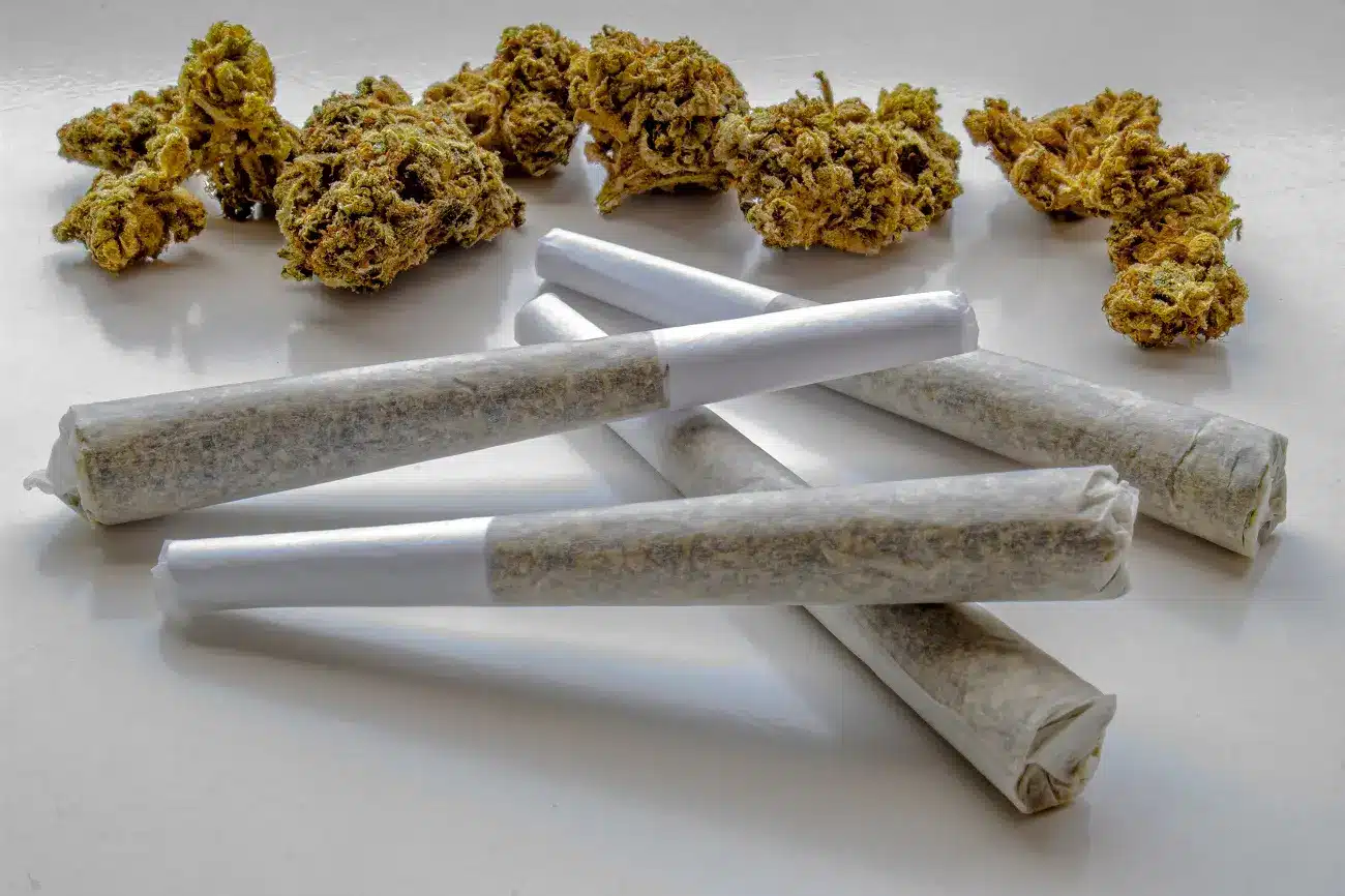 pre rolls cbd