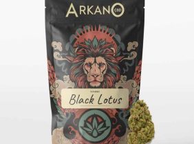 ARKANOCBD_Black_Lotus__flor