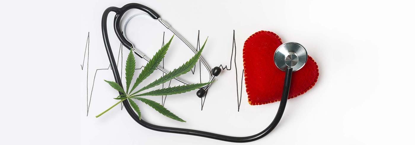 CBD-salud-cardiovascular-portada